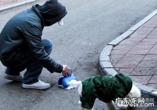 根据检验DNA治理小狗乱丢垃圾