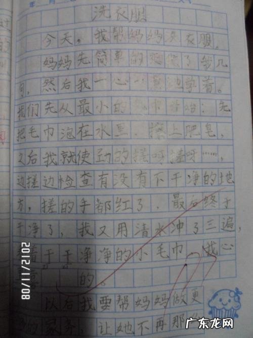 我的日记300字左右 我的日记300字