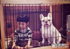 小狗也可以转暖男，痊愈孤独症儿童