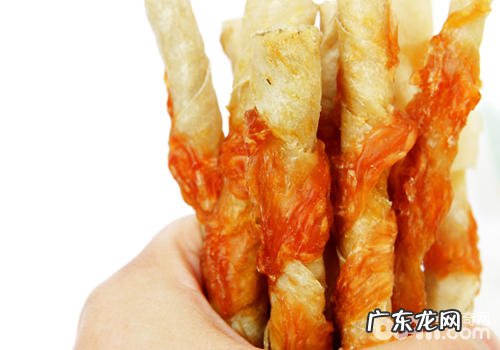 小狗口腔保健有什么错误观念