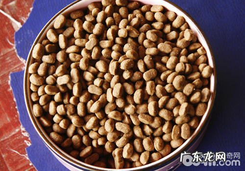 小狗一天吃是多少犬粮