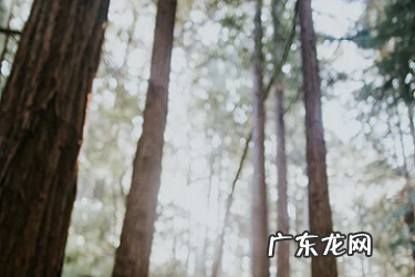 有创意的网店名字 淘宝开店卖女装取什么店名?有哪些技巧?二个字特别女装店名