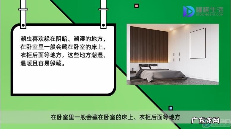 床上有潮虫怎么去除？ 卧室里的潮虫都藏在哪里