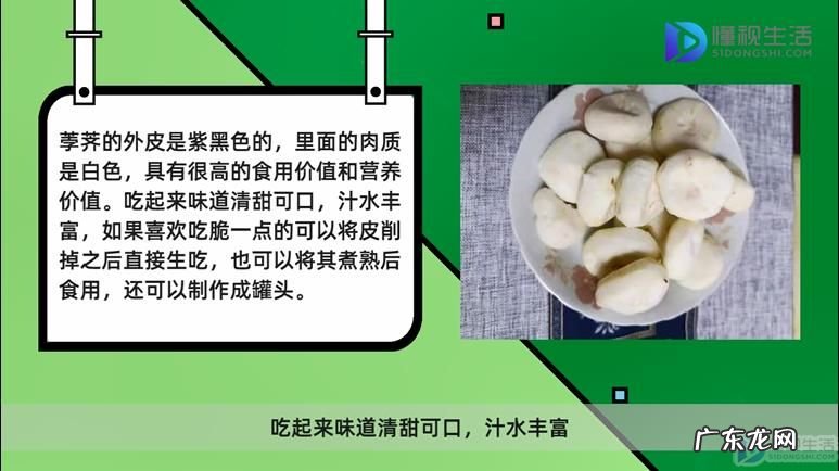 马蹄是什么水果? 马蹄果和荸荠区别