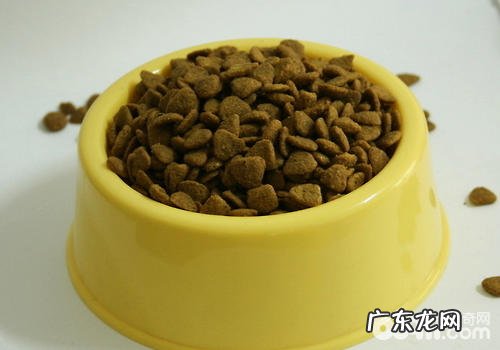 小狗吃了狗驱虫药拉稀怎么办