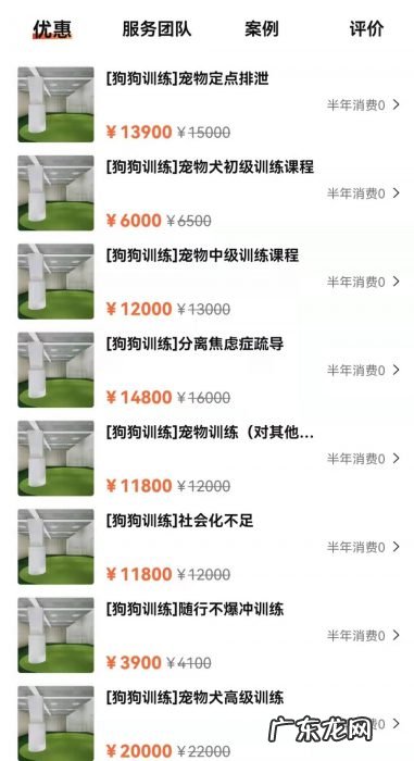 狗圈也内卷:培训收费4000元起,宠物学校却只能“为爱发电”?