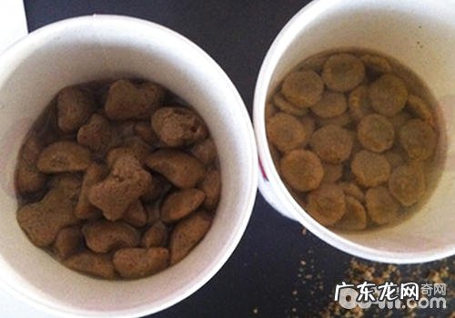 犬粮应不应该泡软后给小狗喂养
