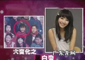 文章和白百合是同班吗 文章和白百合的关系