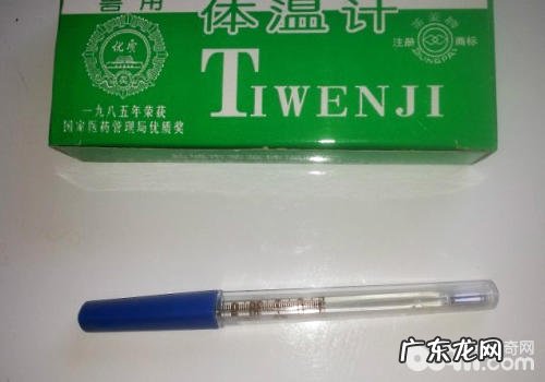 如何正确地帮小狗测体温