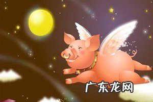 开网店费用多少 飞猪开店费用是多少?飞猪开店费用分享在飞猪开店需要什么条件