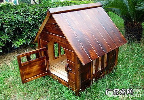 怎样为小狗提前准备一个适合的窝