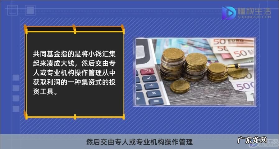 中国的共同基金有哪些? 共同基金是什么