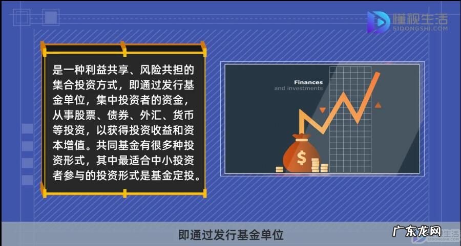 中国的共同基金有哪些? 共同基金是什么