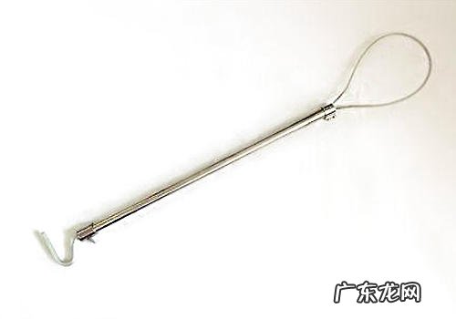 小狗的保定市方式有什么