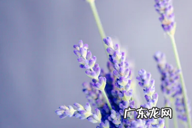 淘宝开店卖什么类目好 淘宝开店卖手机怎么样?卖什么好?淘宝卖手机保证金50000