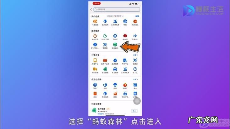 蚂蚁森林切换主树形象? 蚂蚁森林怎么切换主树