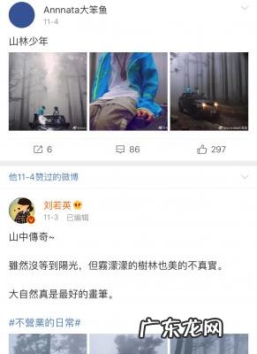 刘若英和老公图片 刘若英老公图片