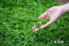 网店卖茶叶需要哪些证 淘宝卖茶叶需要什么证？有何要求？淘宝卖茶叶需要食品经营许可证吗