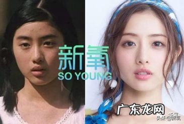 张柏芝韩国活动 张柏芝韩国