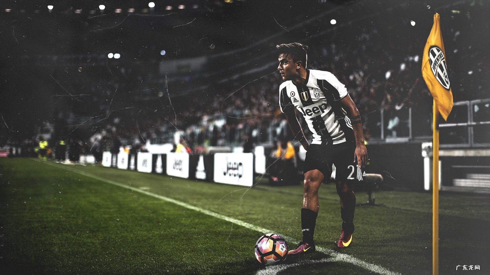 诺特兰德减脂的东西有人吃过么