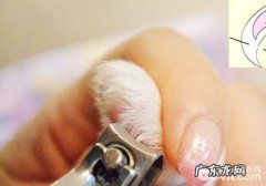 是否有必需为小狗剪血线