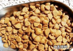 选择犬粮必须留意的难题