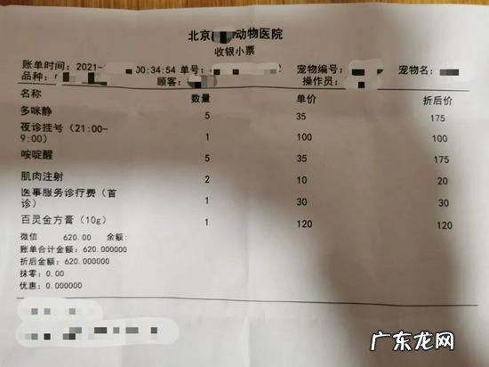 每天花费3000元,揭开宠物医疗“黑幕”:医生靠检查谋取暴利,代理商打压低价药