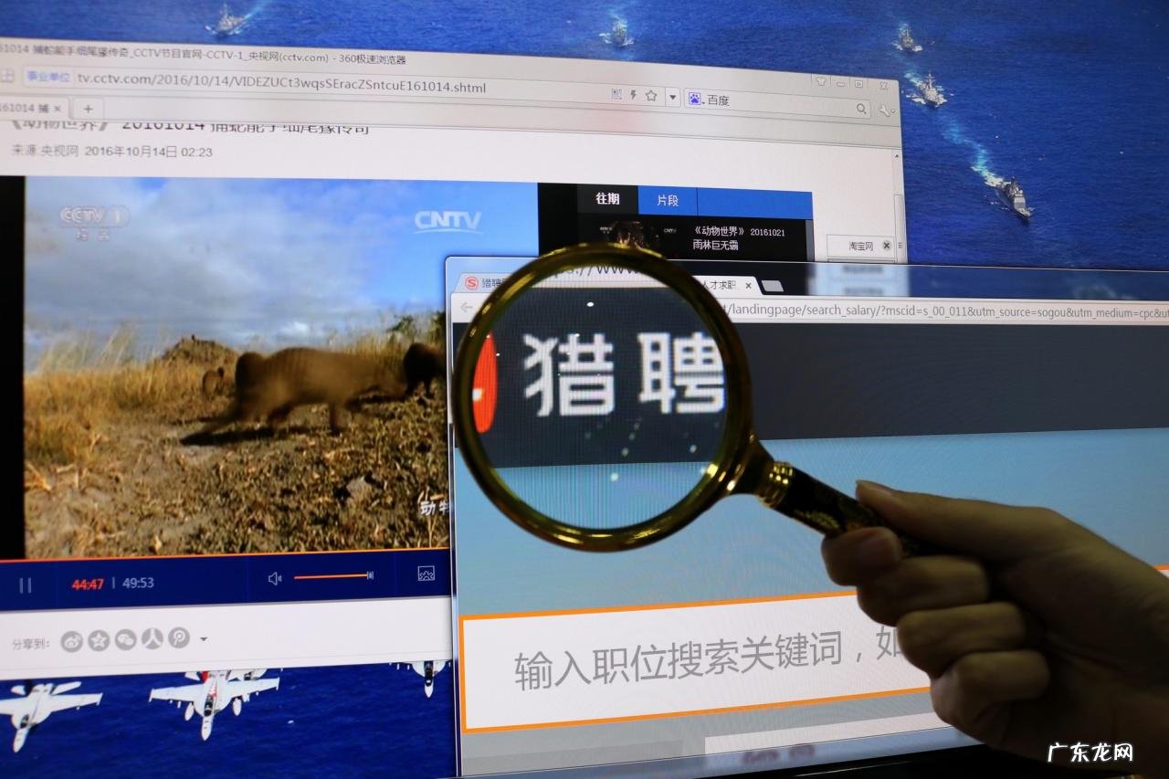 猎聘第三季度营收6.8亿同比增长50.2%