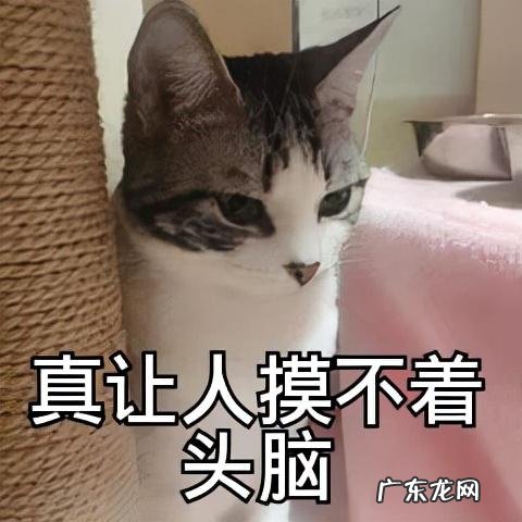 不吃早餐,瘦得更快?真相是?