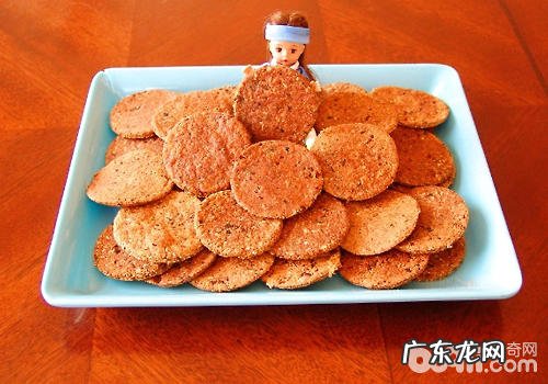 怎样为老年人犬减肥瘦身