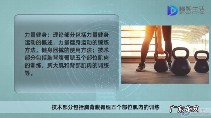 健身健美课学什么? 健身健美课程内容是什么