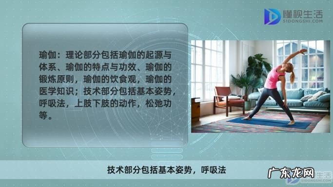 健身健美课学什么? 健身健美课程内容是什么