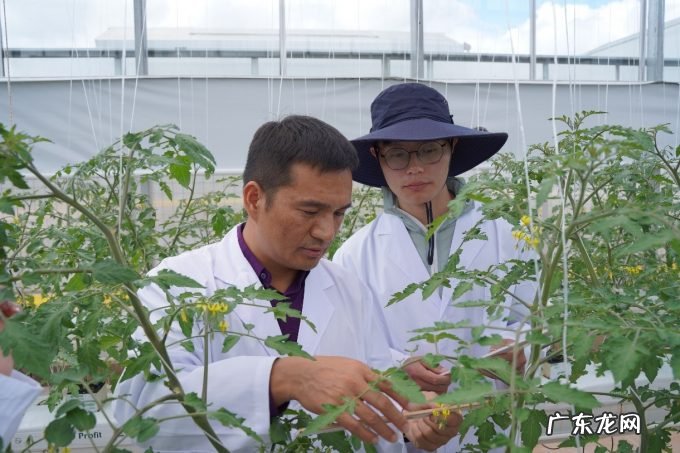 拼多多发布Q3财报,持续重仓农业,三季度所有利润继续投入“百亿农研专项”