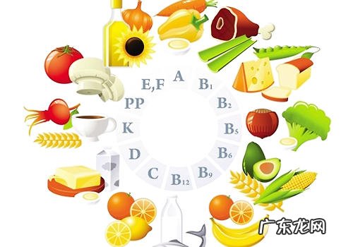 对小狗被毛有利及危害的一些作法