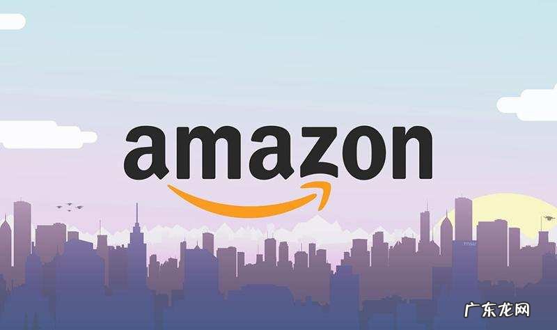 下 “肥水不流外人田”:亚马逊自有品牌有“特权”