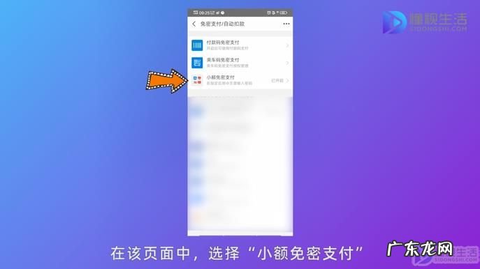 怎么设置小额免密支付? 支付宝免密支付额度在哪里设置