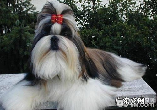 必备的美容护肤专用工具有什么