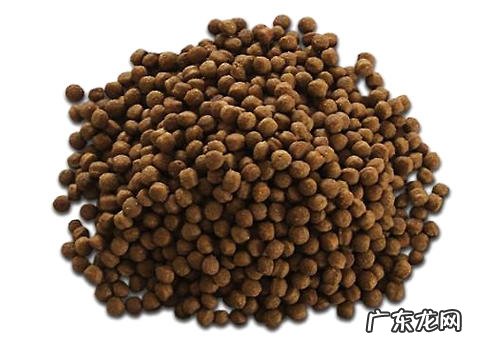 无谷与有谷粮有什么不同