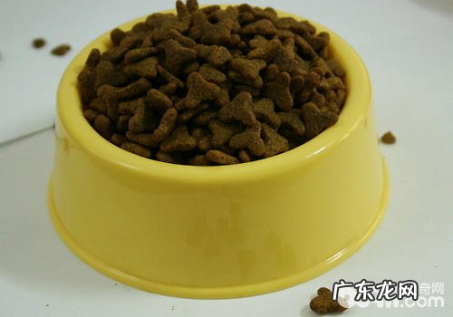 无谷与有谷粮有什么不同