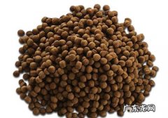 喂养幼狗干犬粮有什么危害