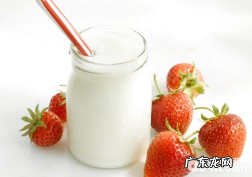 酶与益生菌粉针对小狗有什么功效