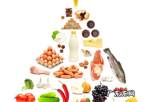 酶与益生菌粉针对小狗有什么功效