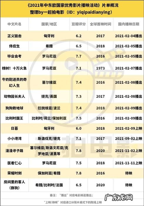 小国文艺片专线发行一年考