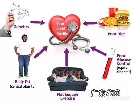 血脂高的人晚餐不能吃什么?