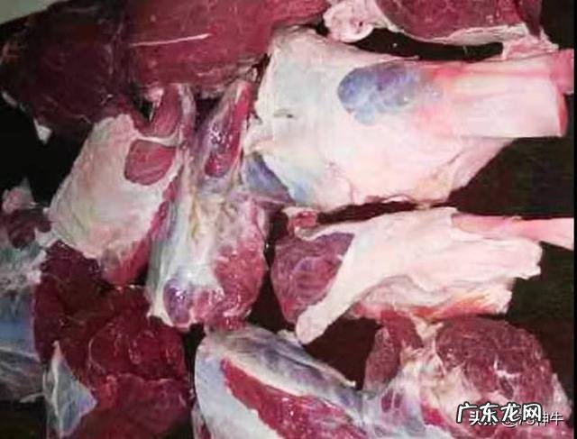 冬季养牛，牛会被冻死吗?牛冬季产仔如何喂养？