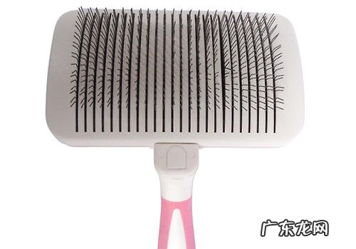 小狗应用针梳必须注意什么