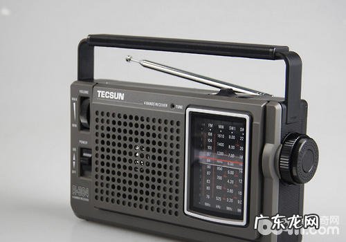 如何给小狗消遣