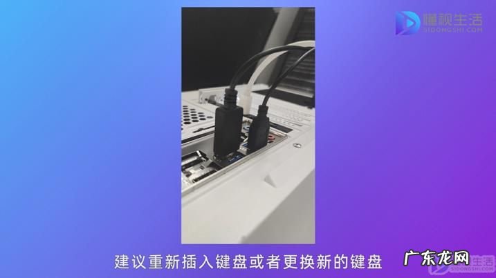 电脑键盘打字没反应? 电脑打字不显示字怎么回事