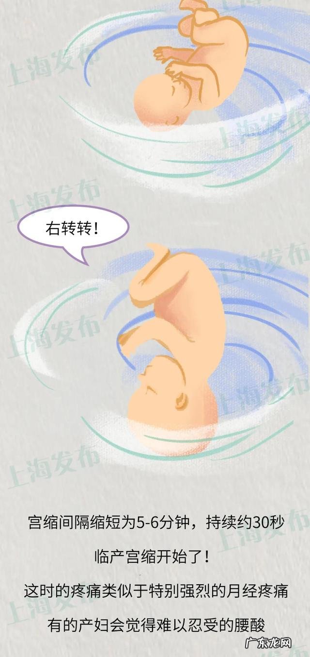 最可靠的分娩先兆-分娩的可靠先兆征象