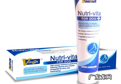 如何挑选小狗骨节营养保健品